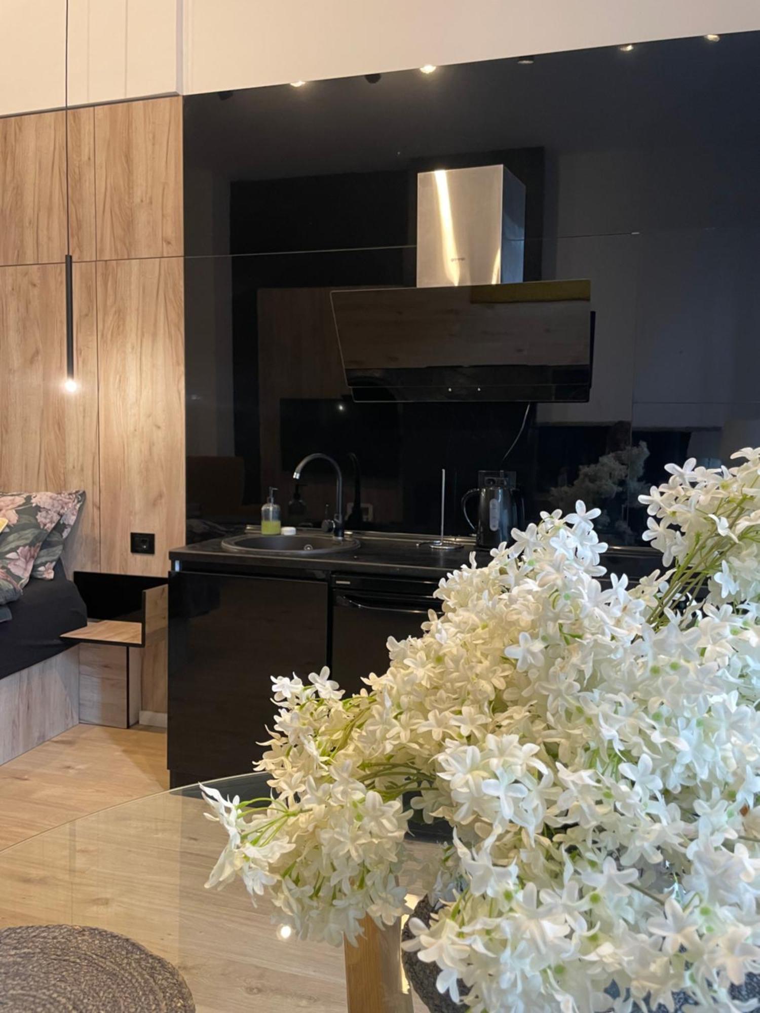 Lux Dabich 1 Apartment Нови Сад Екстериор снимка